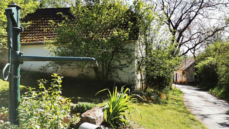 L&auml;ndliche Szene mit Wasserpumpe, Pflanzen und Weg.