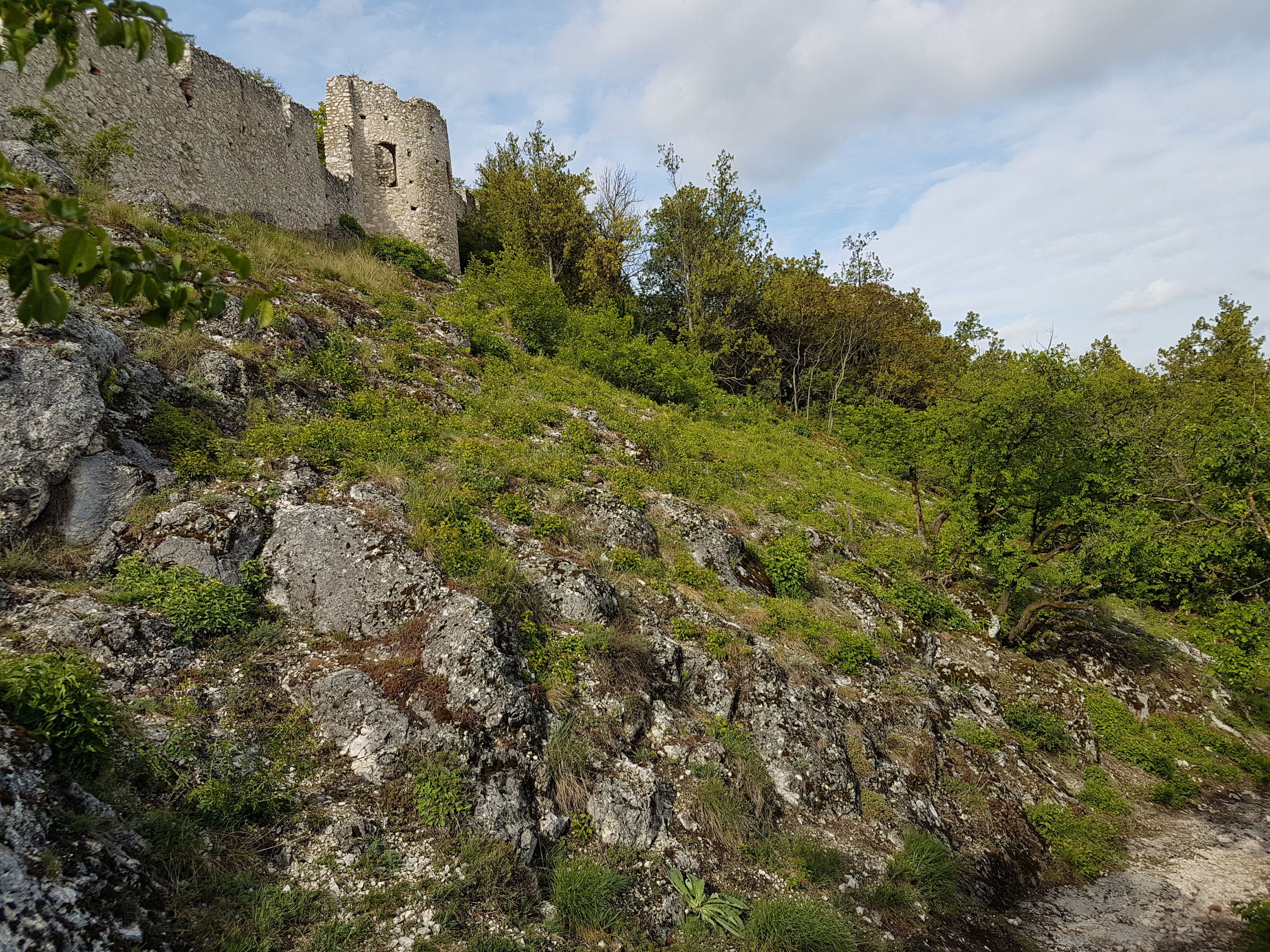 Trockenrasen Staatzer Berg