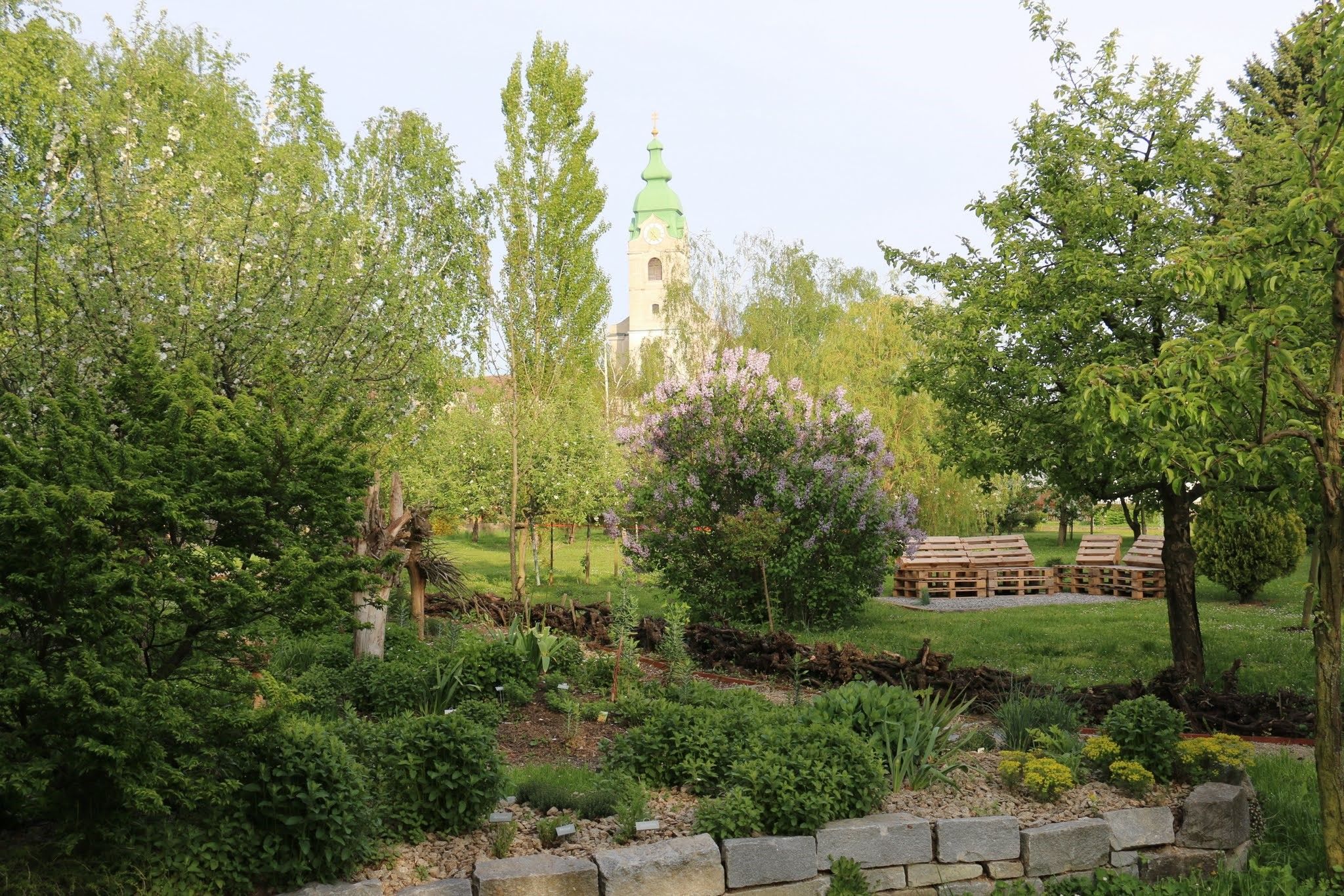 Ein grüner Garten mit Bäumen, Sträuchern und einem Kirchturm im Hintergrund.