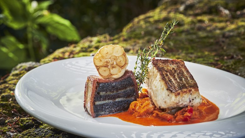 Zanderfilet auf pikantem Kraut mit Bluzenterrine und Knoblauch auf einem weißen Teller.
