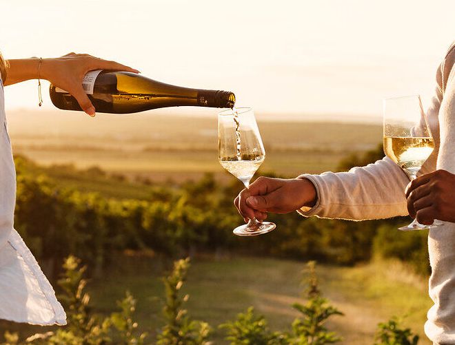 Ein romantisches Picknick im Weingarten bei Sonnenuntergang schafft eine unvergessliche Atmosphäre. Die sanften Hügel des Weinviertels umgeben das Paar, während sie ein Glas Wein genießen und die köstlichen Leckereien aus dem Picknickkorb des Schlosshotels Mailberg kosten.