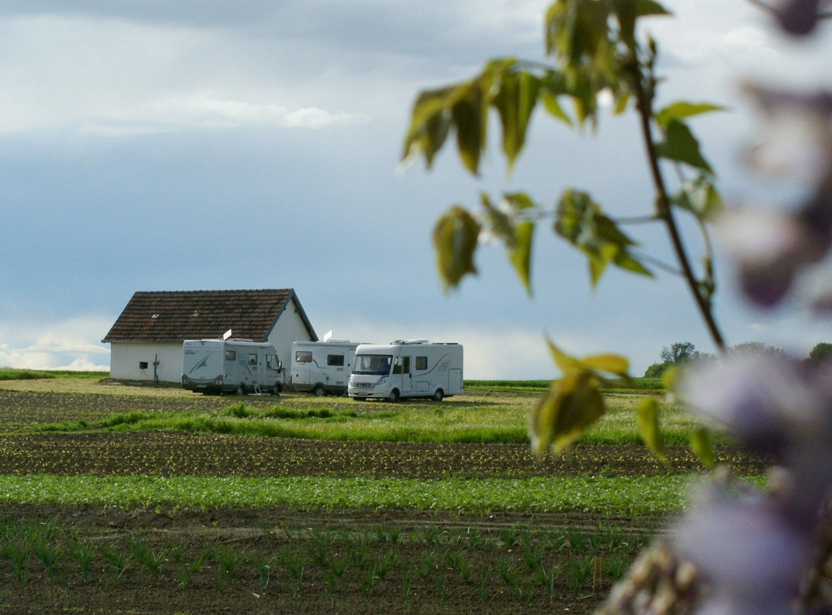 Motorhomes in a field next to a small building, surrounded by a green landscape and a cloudy sky.