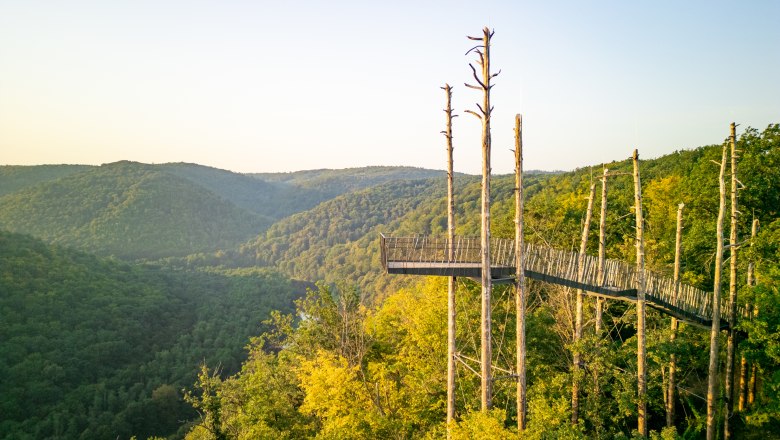 Aussichtsplattform im Wald mit Blick auf bewaldete Hügel im Hintergrund.