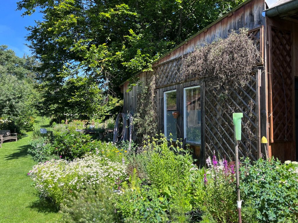 Wein4tler Bauerngarten