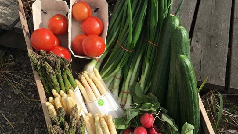 Regional vegetables, © Landspeis