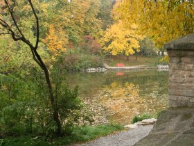 Herbstliche Szene am Schlossteich in Wolkersdorf mit buntem Laub und einer roten Bank am Ufer.
