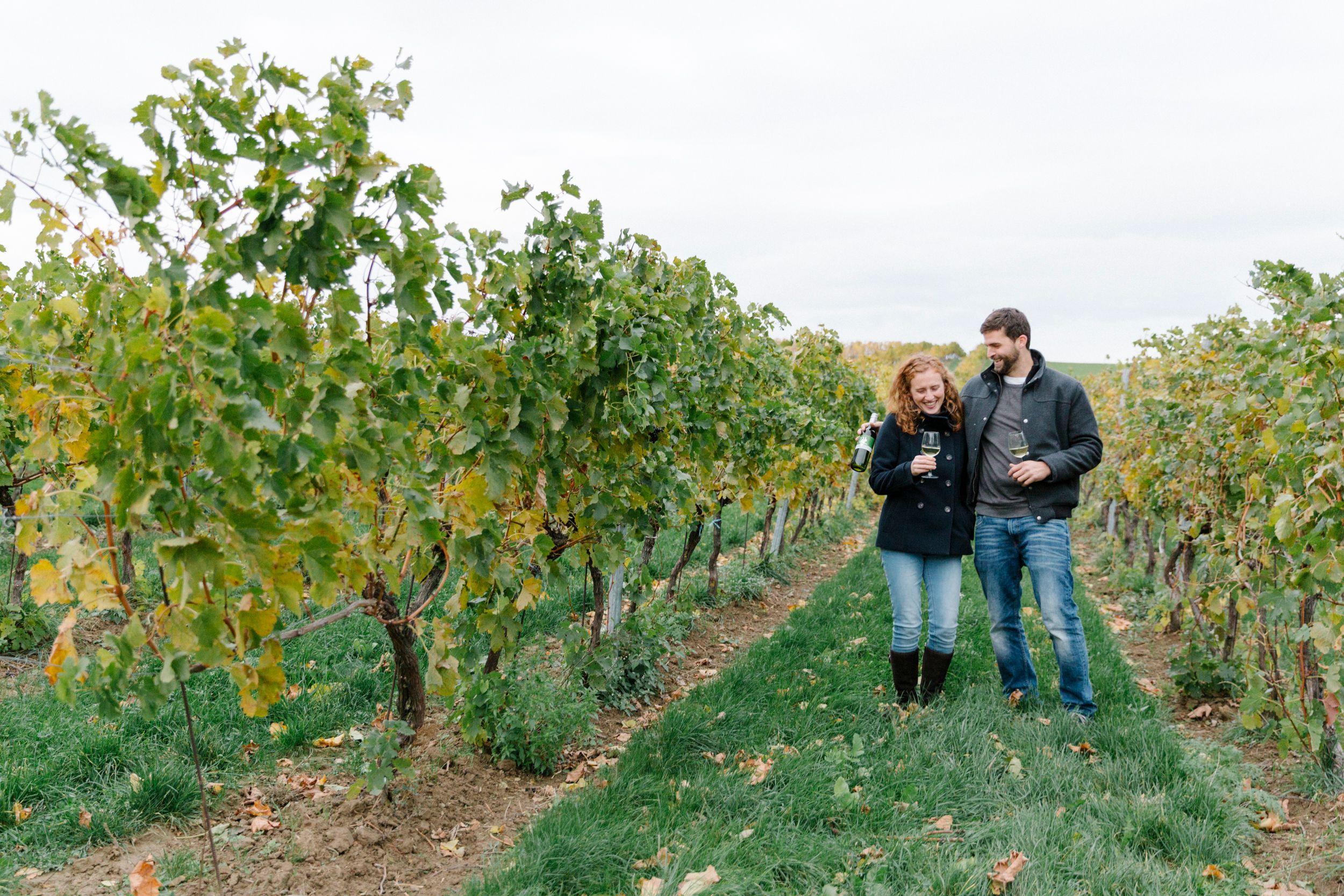 A couple walks through a vineyard with wine glasses.