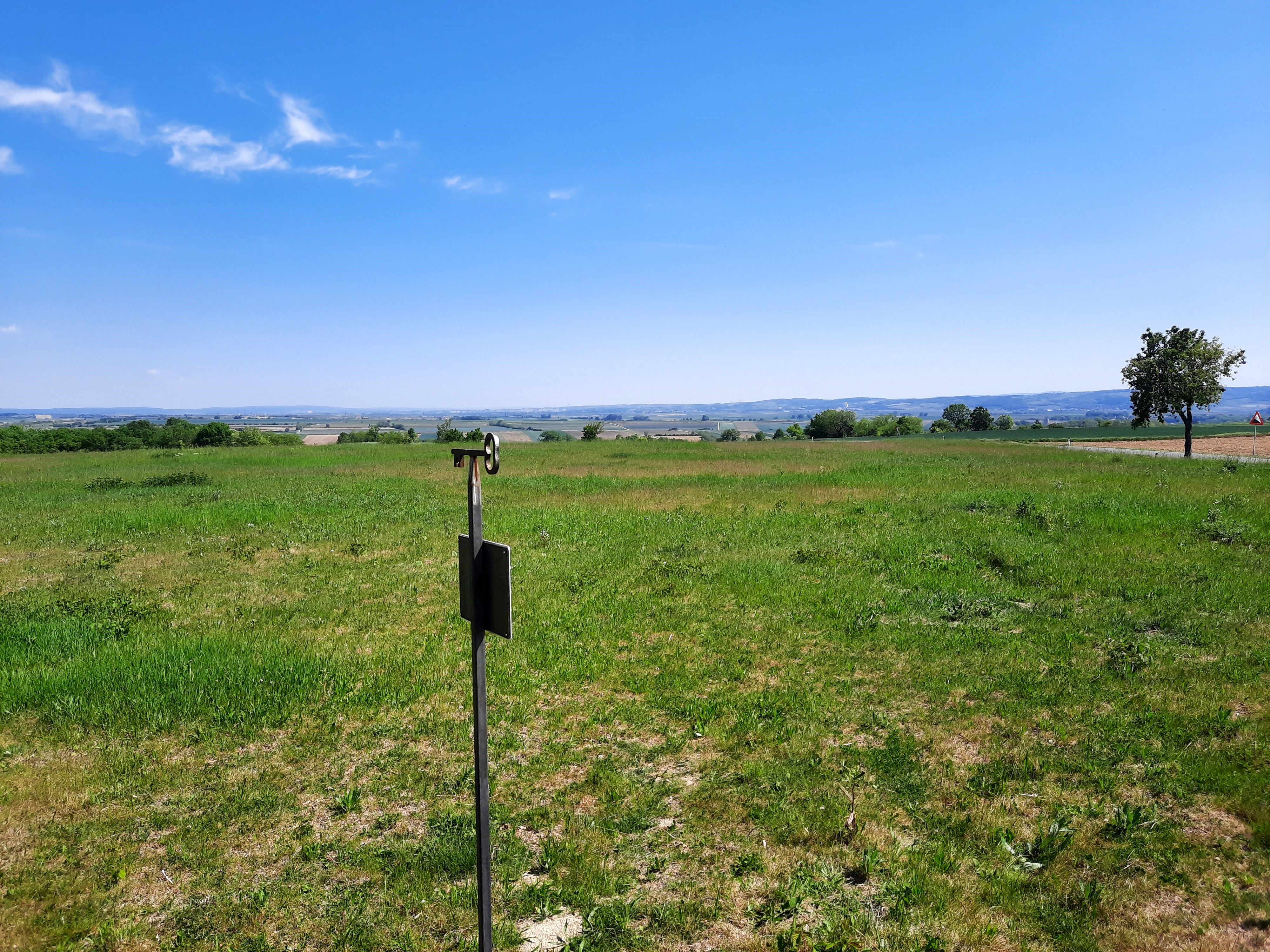 Grüne Wiese mit weitem Blick über die Landschaft, ein einzelner Baum und ein Schild im Vordergrund.