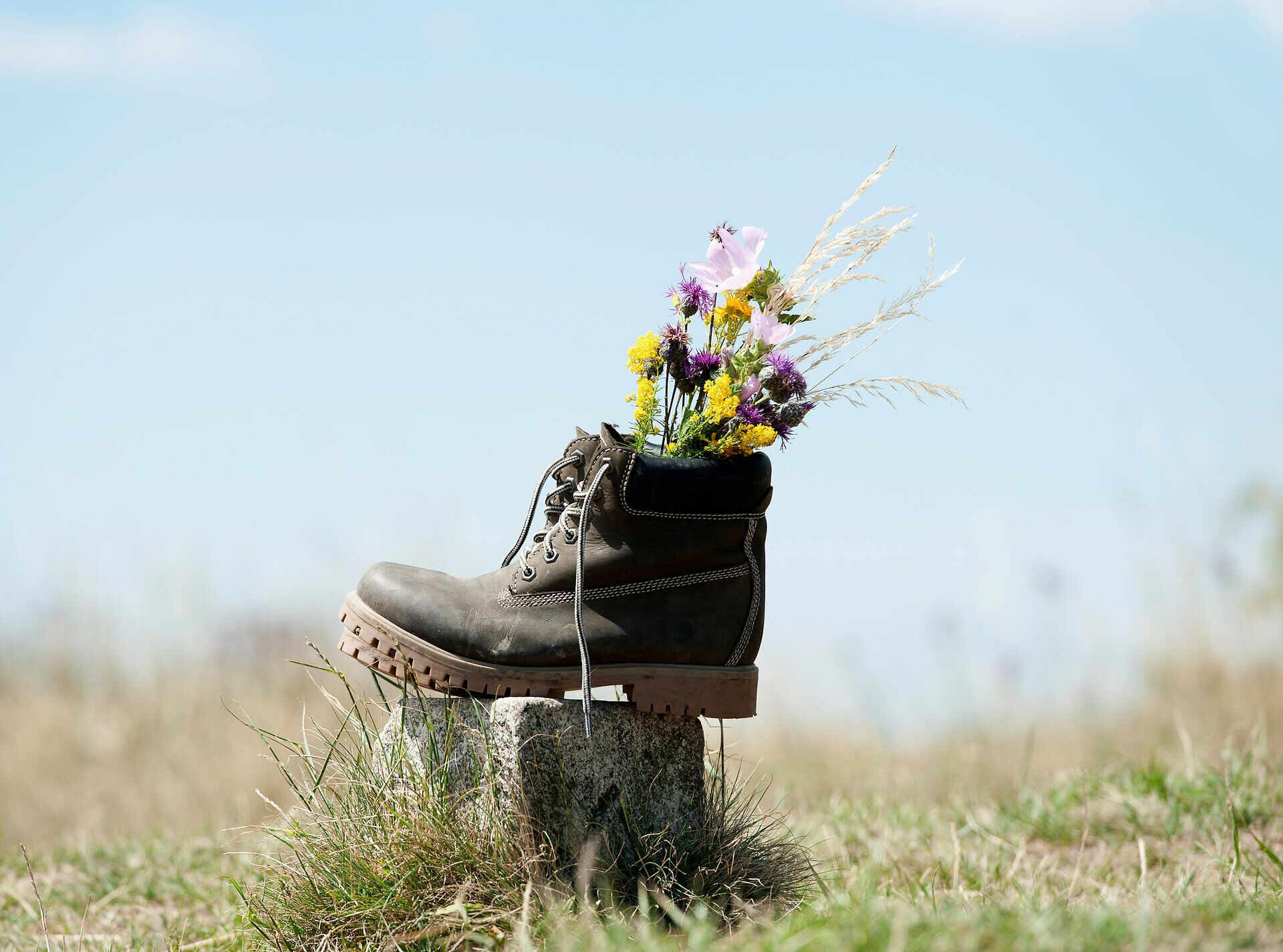 Ein Wanderschuh, der auf einem Stein steht, wird zum kreativen Blumenbehälter. Bunte Wildblumen sprießen aus dem Schuh und verleihen der Szenerie einen Hauch von Lebendigkeit und Naturverbundenheit. Diese harmonische Verbindung von Mensch und Natur lädt dazu ein, die Schönheit der Umgebung zu erkunden.