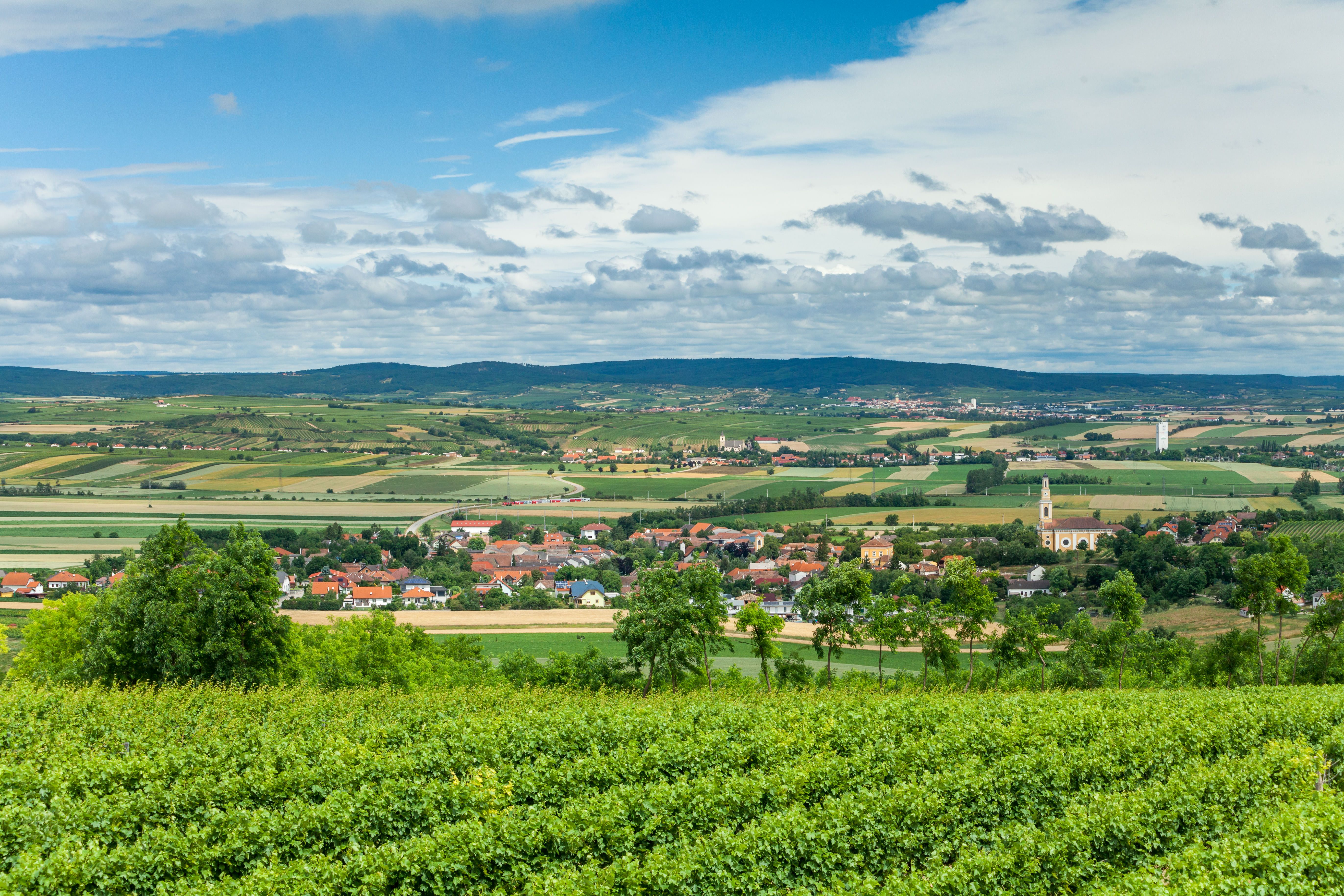 Ausblick vom Platter Sandberg über das Retzer Land