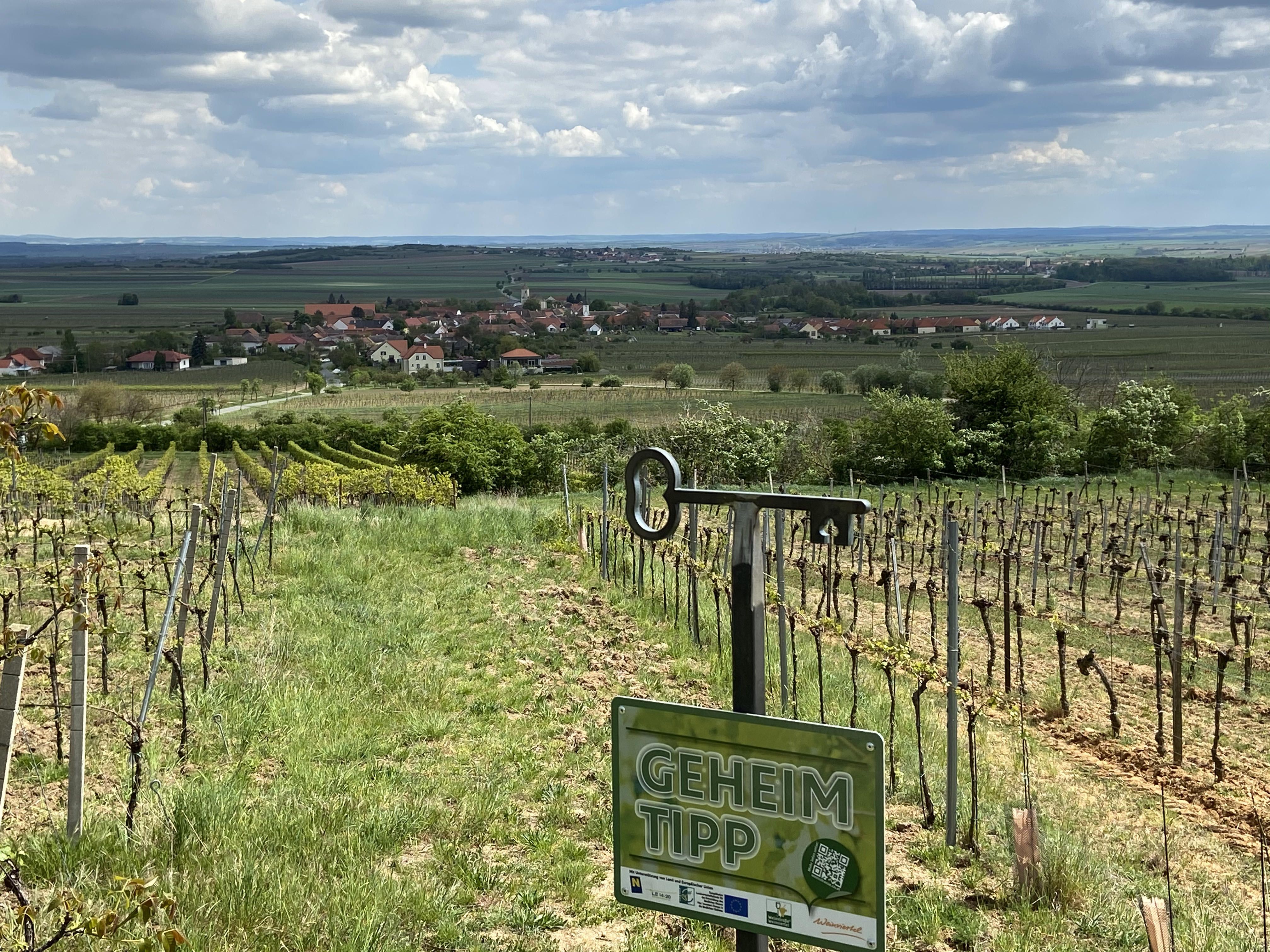Weinberg mit Blick auf ein Dorf im Weinviertel, Schild mit der Aufschrift 'Geheimtipp'.