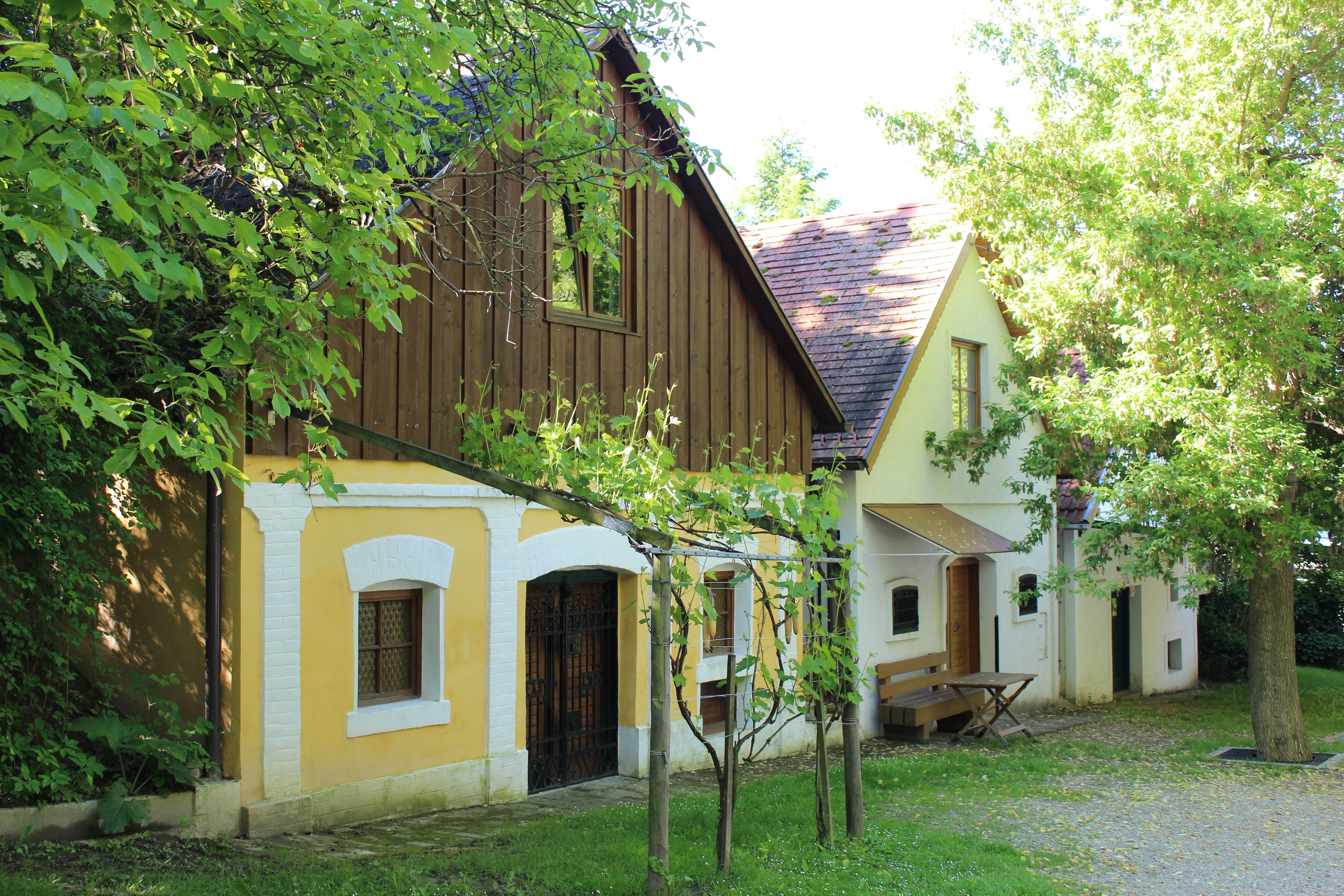 Traditionelle Weinkeller in der Kellergasse von Wolkersdorf, umgeben von grünen Bäumen und Weinreben.