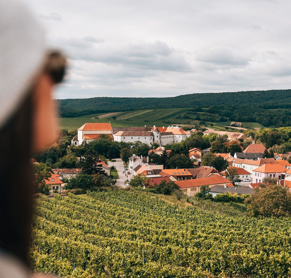 Sanfte Hügel und üppige Weinreben erstrecken sich bis zum Horizont, während die charmanten Häuser des Dorfes in warmen Erdtönen leuchten. Die frische Sommerluft ist erfüllt von dem süßen Duft reifer Trauben, die auf die Ernte warten. Ein perfekter Ort, um die Seele baumeln zu lassen und die Schönheit der Natur zu genießen.