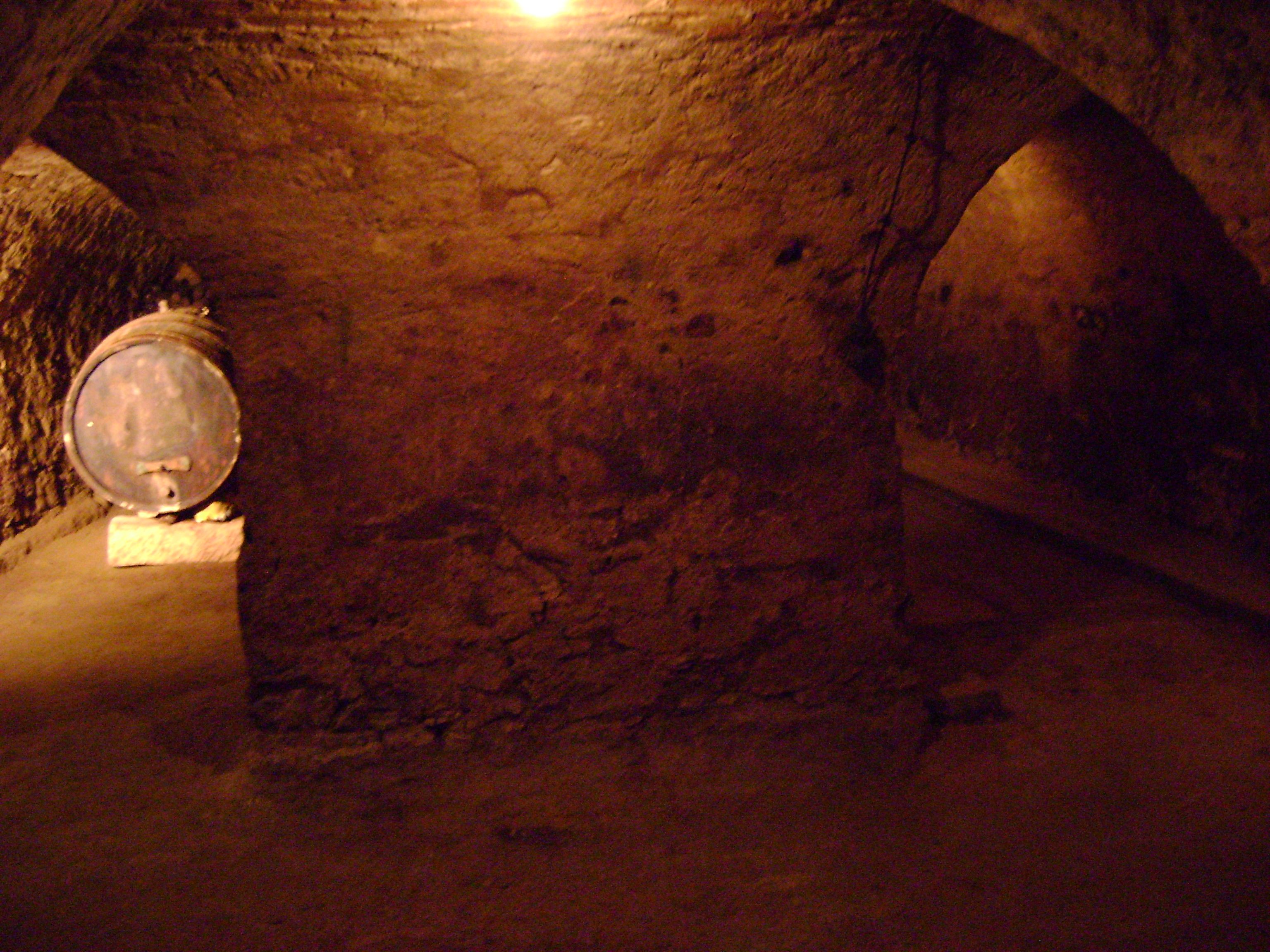Vaulted cellar with barrel and brick arches.