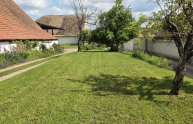 Grüne Wiese mit Bäumen und Gebäuden im Hintergrund unter blauem Himmel mit Wolken.