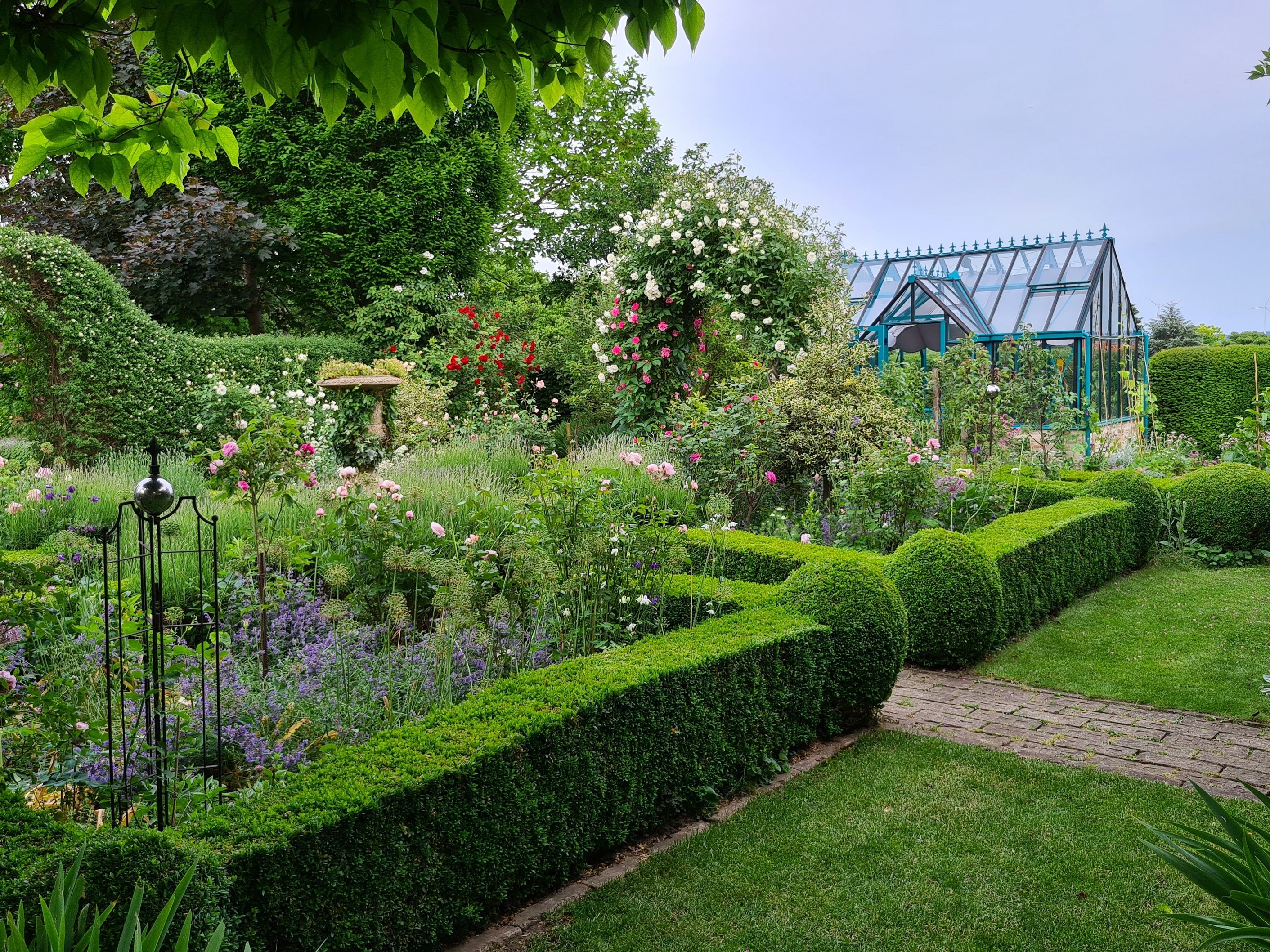 Ein gepflegter Garten mit Rosen, Hecken und einem Gewächshaus im Hintergrund.