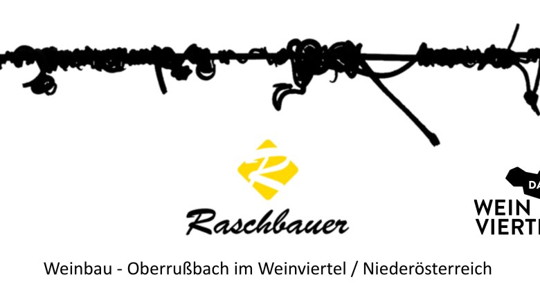 Logo von Raschbauer Weinbau im Weinviertel, Nieder&ouml;sterreich.