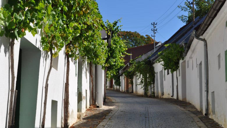 Eine gepflasterte Gasse mit wei&szlig;en H&auml;usern und Weinreben an den Fassaden unter blauem Himmel.