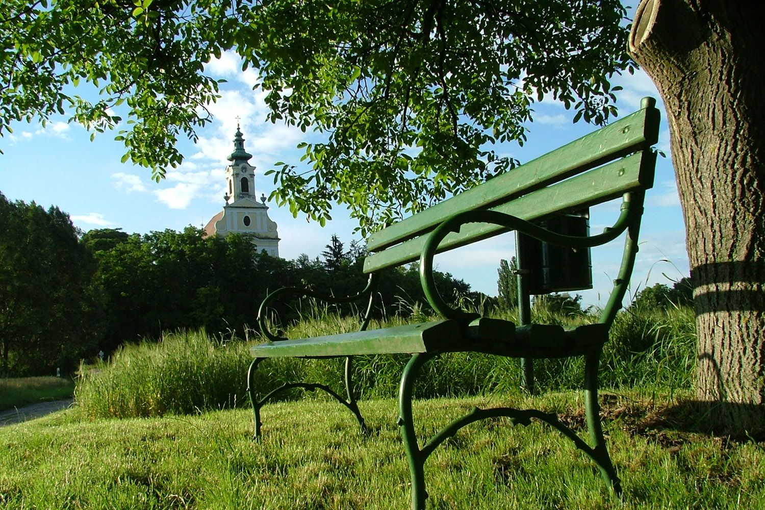 Eine grüne Bank unter einem Baum mit Blick auf eine Kirche im Hintergrund.