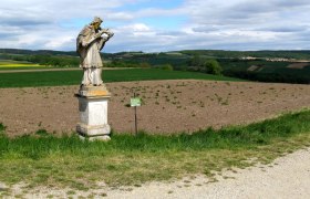 Statue von Nepomuk auf einem Feld in Baierdorf, umgeben von grüner Landschaft und bewölktem Himmel.