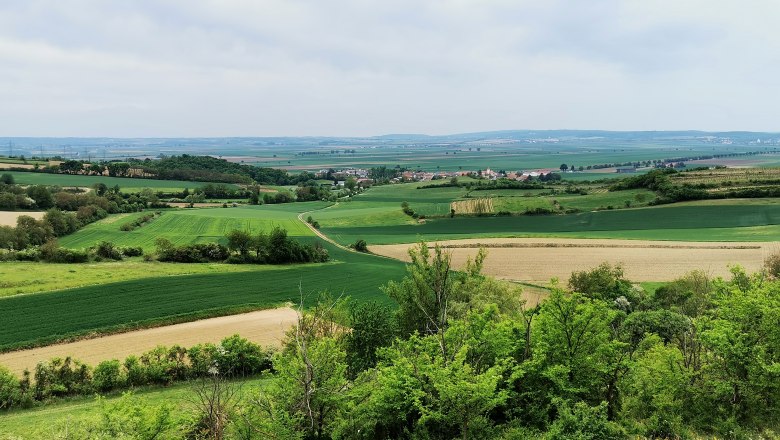 Landschaft im Weinviertel mit Feldern und Hügeln.