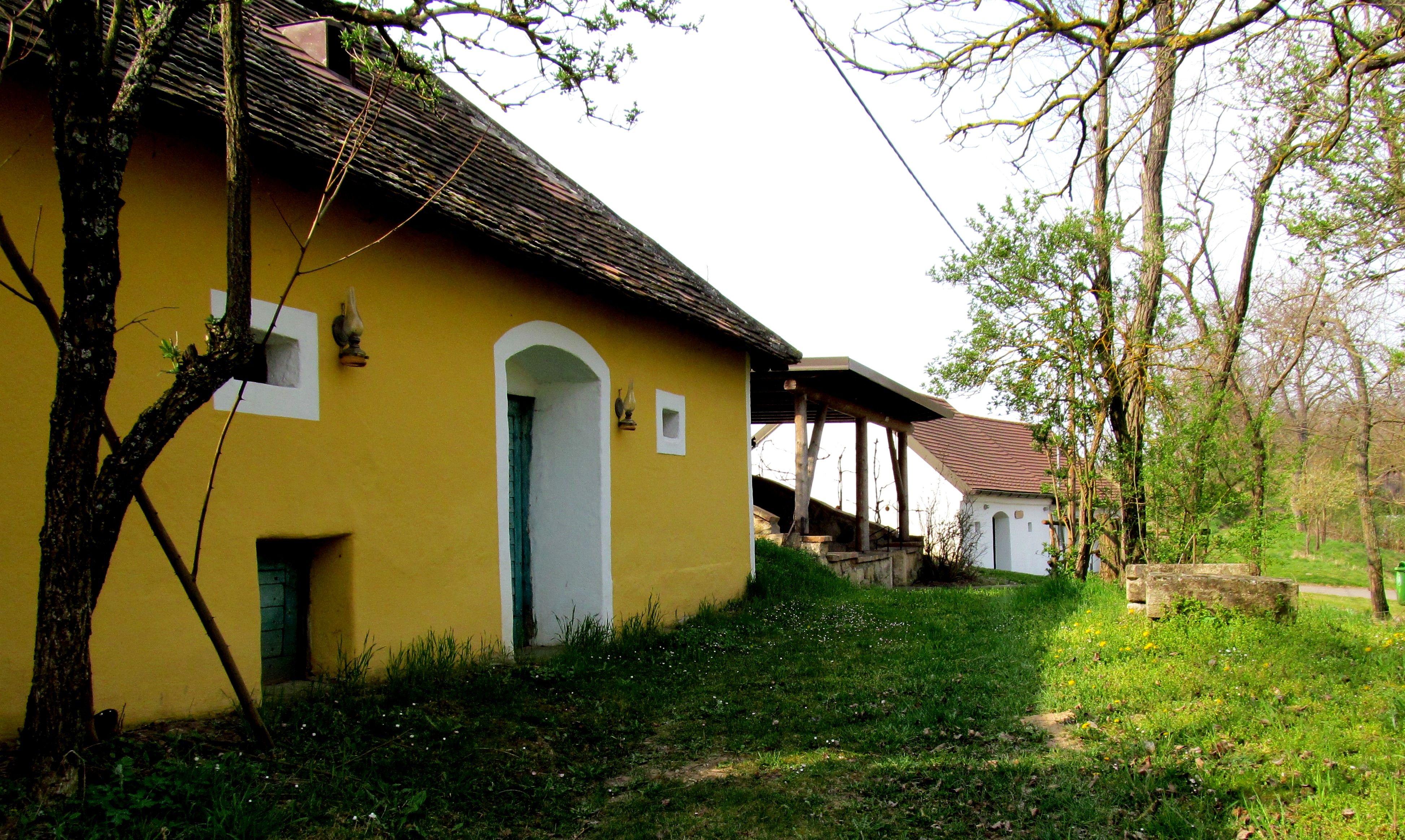 Gelbes Gebäude mit Holztür und kleinem Fenster, umgeben von Bäumen und Gras.