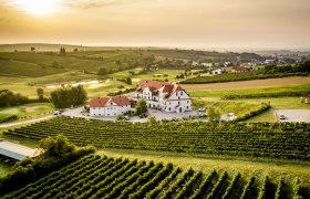 Luftaufnahme eines Hotels inmitten von Weinbergen bei Sonnenuntergang.