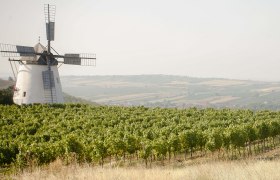 Výletní cíle, © Retzer Land / Astrid Bartl
