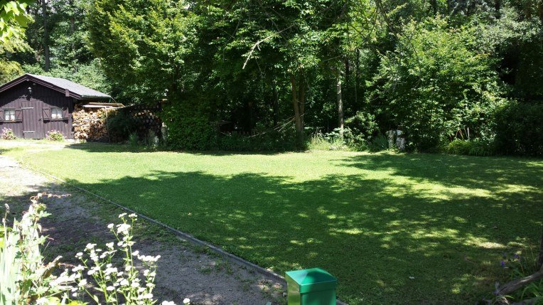 Grüne Wiese mit Bäumen und einer Holzhütte im Hintergrund.