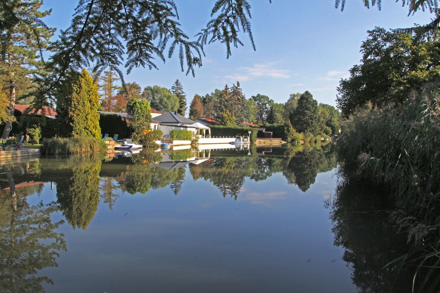 Ein ruhiger Teich mit Spiegelung von Bäumen und Häusern im Wasser.
