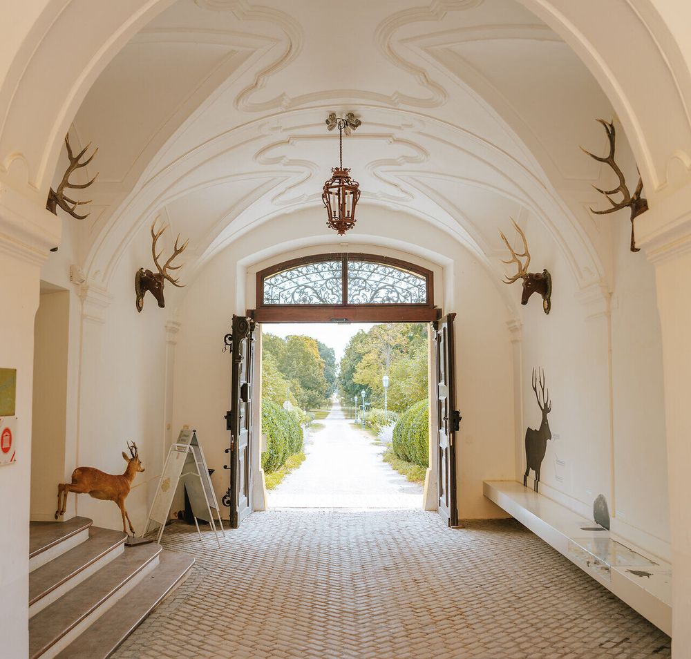 Der majestätische Eingang des Schlosses lädt Besucher ein, die Schönheit des Schlossparks zu erkunden. Die kunstvoll gestalteten Wände und die sanften Lichtstrahlen, die durch die offenen Türen strömen, schaffen eine einladende Atmosphäre, die zum Verweilen einlädt.