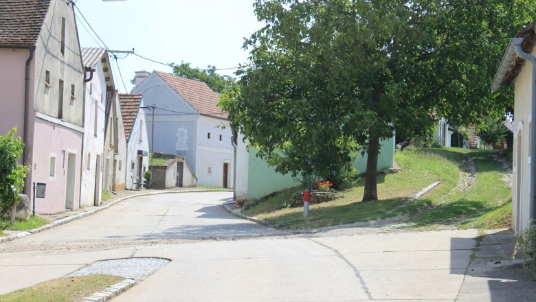 A picturesque wine cellar lane with traditional houses and a tree on a sunny day.