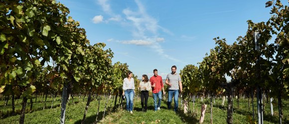 In die Grean gehen, &copy; Weinviertel Tourismus / Michael Liebert
