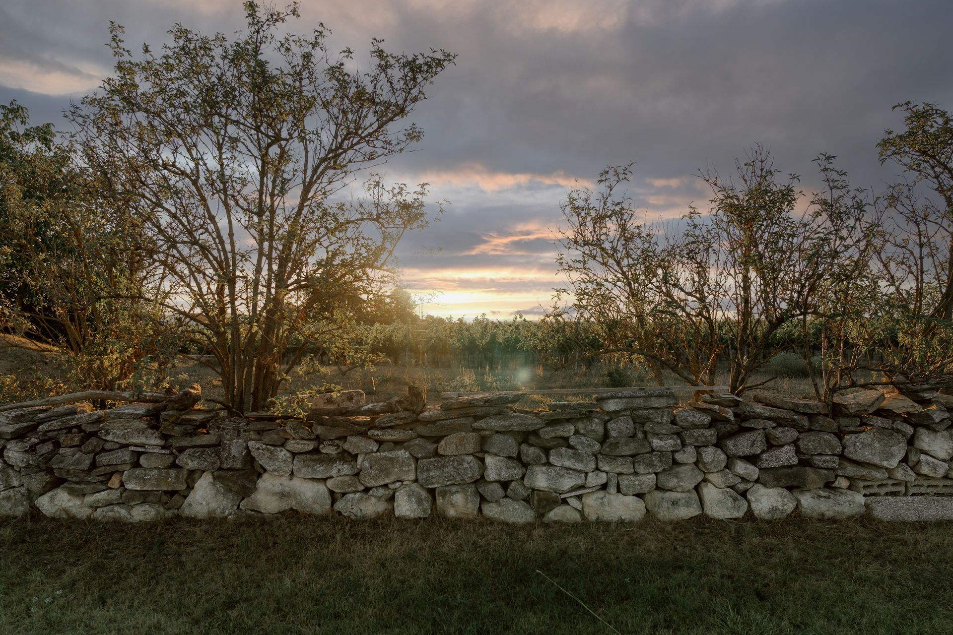 Natursteinmauer im Garten mit Bäumen im Hintergrund bei Sonnenuntergang.
