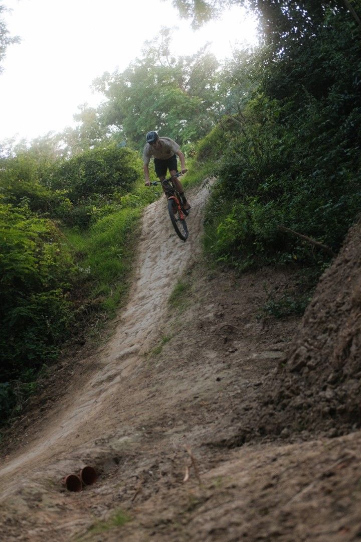 A mountain biker rides down a steep, dirt slope, surrounded by lush greenery.