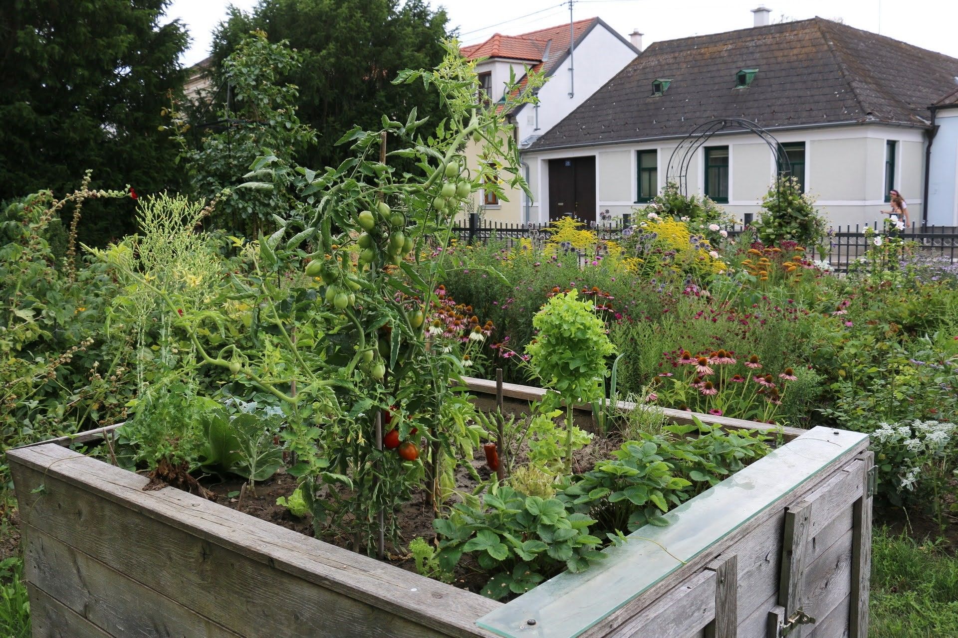 Ein üppiger Garten mit Hochbeet voller Gemüse und Blumen vor einem Haus.