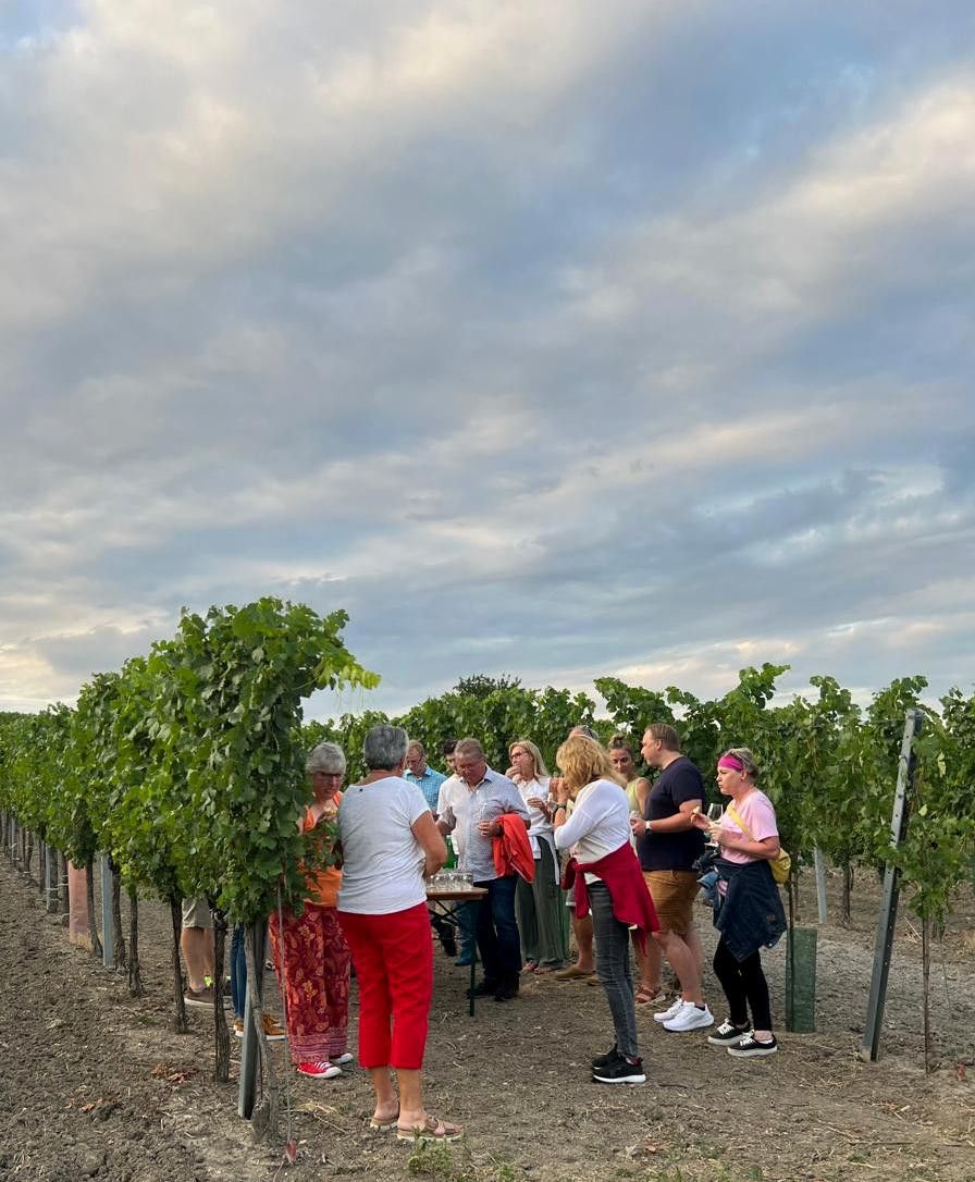 Interessantes über den Weinbau erfahren - Weingut Reinhard Hirsch