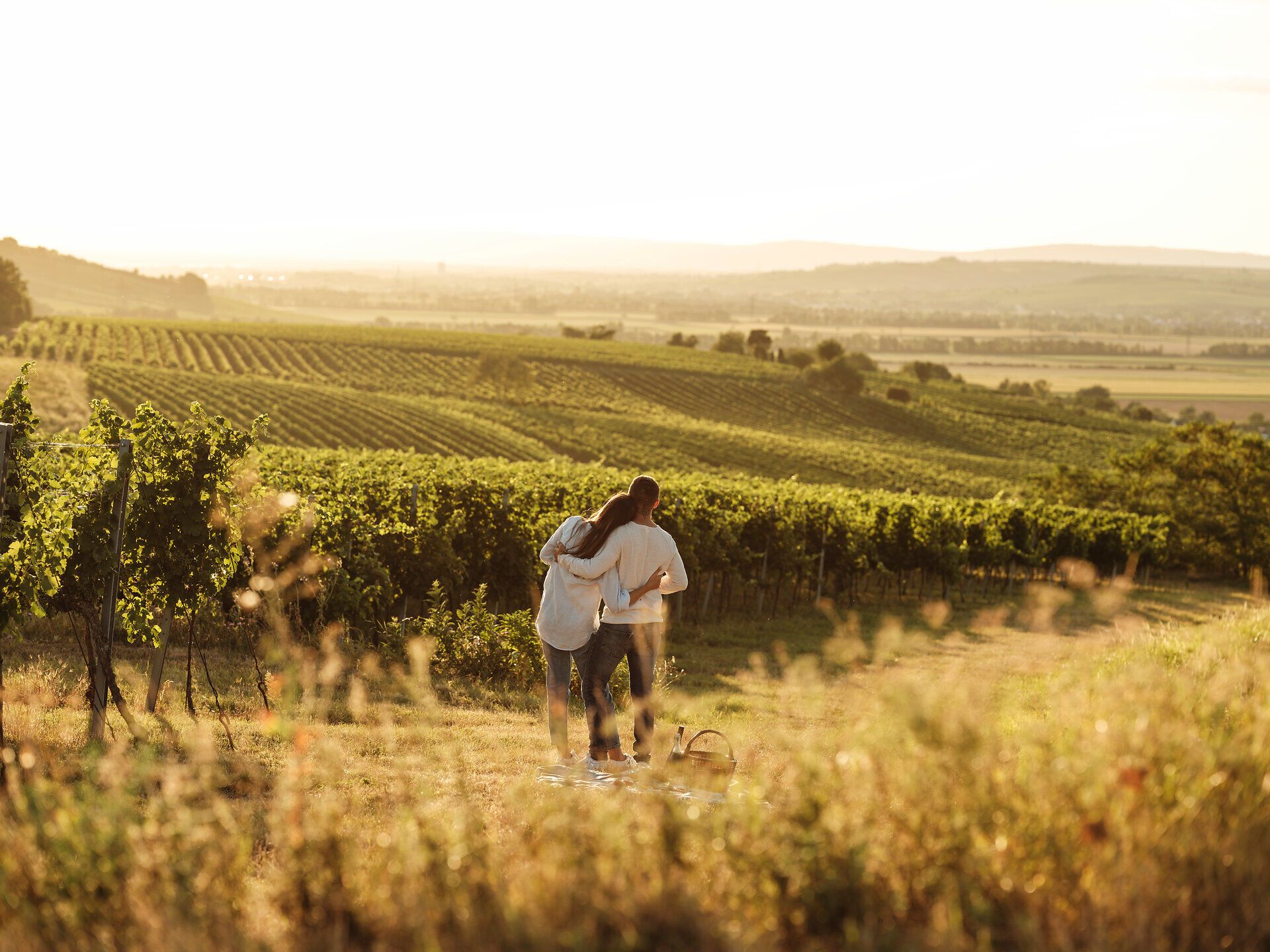 Inmitten der sanften Hügel des Weinviertels genießen zwei Personen ein entspanntes Picknick. Umgeben von üppigen Weinreben und dem goldenen Licht der Abendsonne, laden die köstlichen Speisen und der erfrischende Wein zu einer unvergesslichen Auszeit ein.