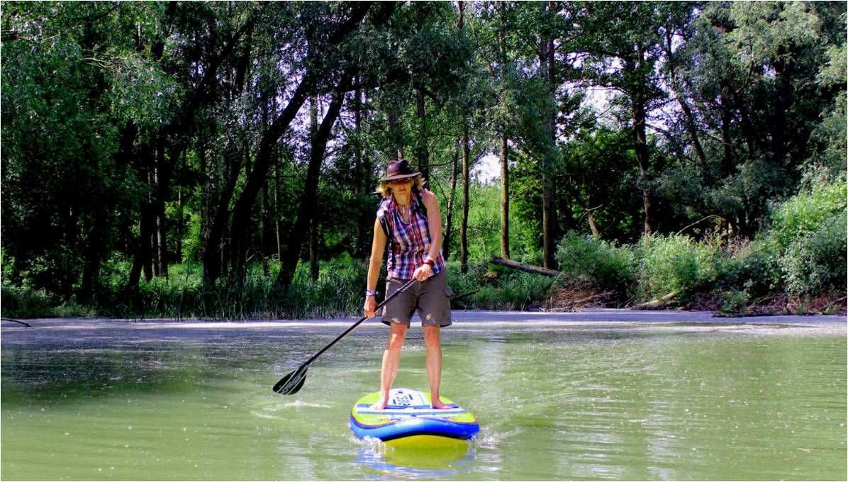 Person beim Stand-up-Paddeln auf einem Fluss, umgeben von Bäumen.