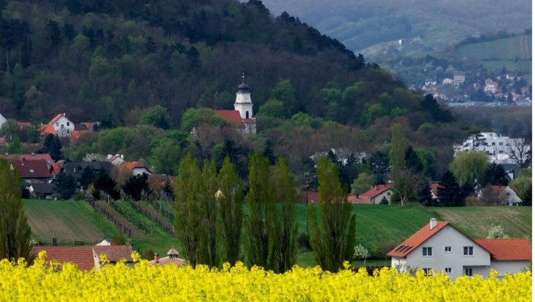 Landschaft mit gelbem Rapsfeld, Dorf und Kirche vor bewaldetem Hügel.