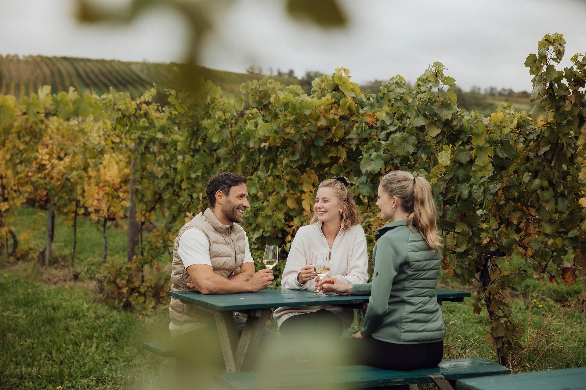 Inmitten der sanften Hügel der Weinregion genießen drei Freunde eine entspannte Auszeit in den Weingärten. Umgeben von üppigem Grün und dem Duft reifer Trauben, teilen sie fröhliche Gespräche und ein Glas erlesenen Wein. Diese idyllische Kulisse lädt dazu ein, die Schönheit des Weinwanderns zu entdecken.