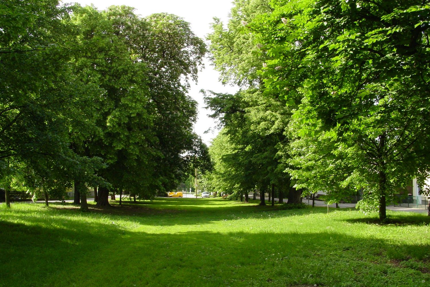 Grüne Allee mit Bäumen und Rasenfläche bei Tageslicht.