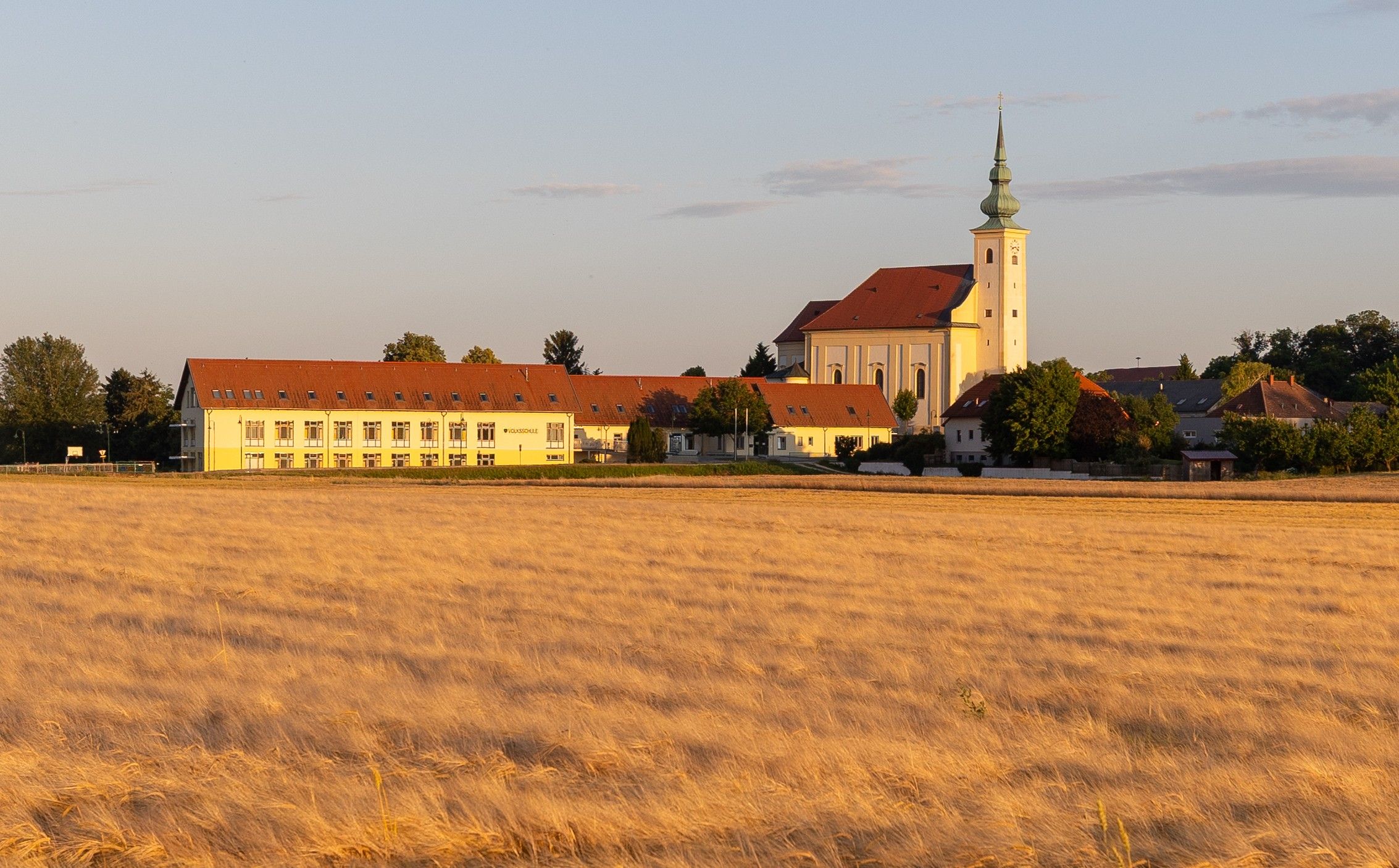 Blick über ein goldenes Feld auf Schönkirchen-Reyersdorf mit Kirche und Kirchturm im Abendlicht.