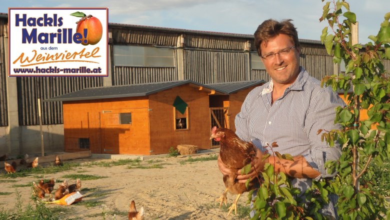 Free-range laying hens, © Ing. Wolfgang Hackl