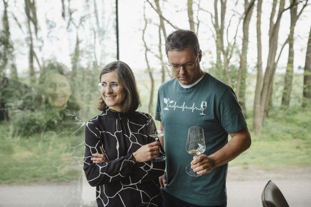 Weine genießen im schönen Ambiente - Schatzkostraum Weingut Hebenstreit
