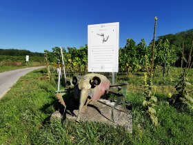 Die Reblaus am Weinwanderweg, &copy; Retzer Land