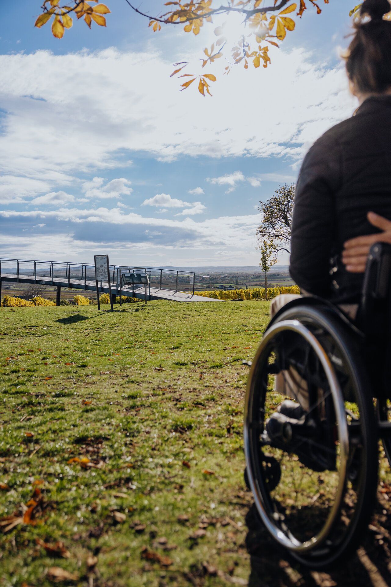 Eine Frau im Rollstuhl genießt den Ausblick auf die Weinviertler Landschaft. Das Landschaftsbild ist herbstlich gefärbt.