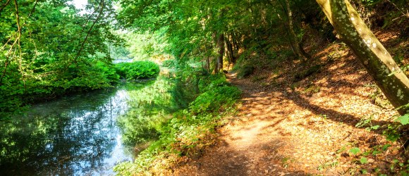 Nationalpark Thayatal, © Retzer Land / Die Reisereporter