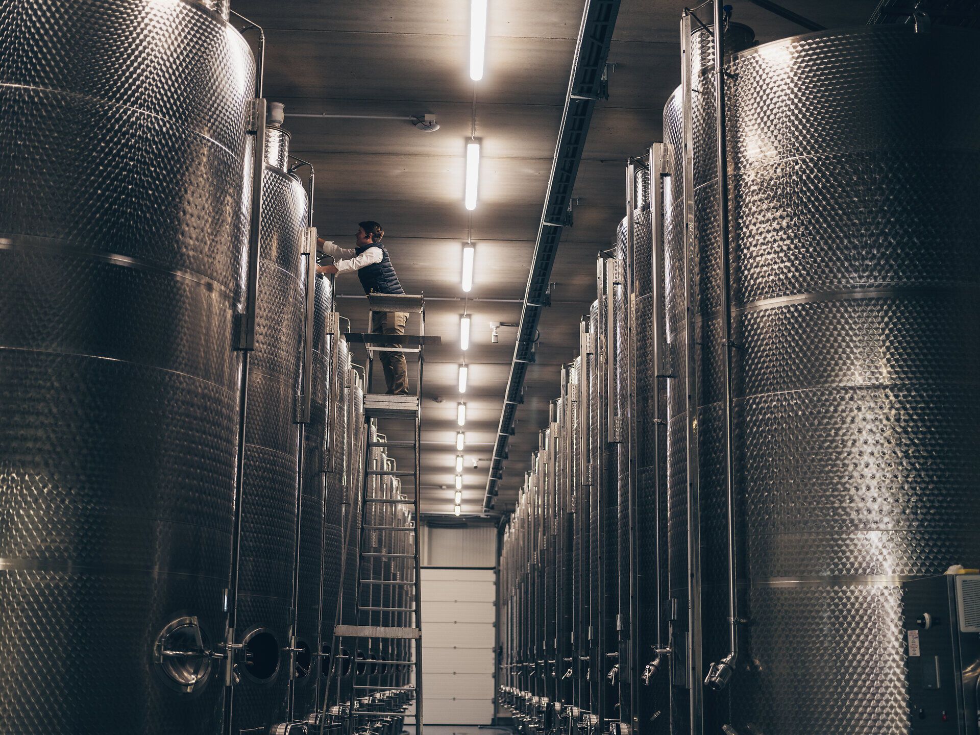 In den lichtdurchfluteten Weinkellern des Weinguts Pfaffl entfaltet sich die Magie des Weins. Die glänzenden Edelstahltanks stehen bereit, um die edlen Tropfen zu beherbergen, während die Luft von einem Hauch fruchtiger Aromen durchzogen ist. Hier wird die Leidenschaft für Wein spürbar, und jeder Besuch verspricht ein unvergessliches Erlebnis.