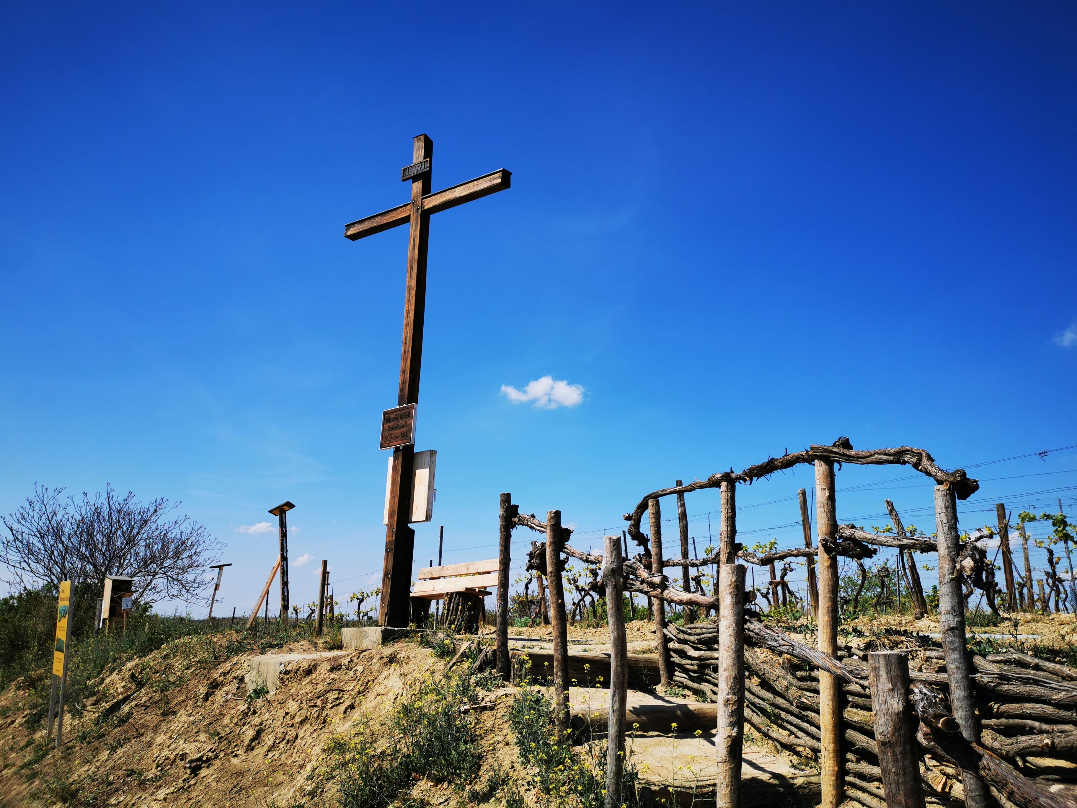 Wooden cross on a hill with vines and blue sky in the background.